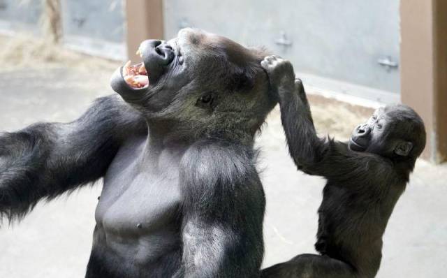 daily picdump 94 pics 21.html - 94 HD Photos | Premium Gallery 2018