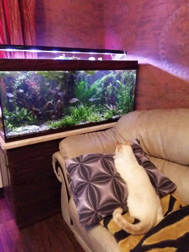 daily picdump 94 pics 21.html - 94 HD Photos | Premium Gallery 2018