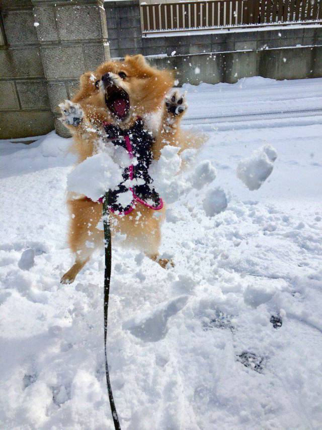 daily picdump 94 pics 21.html - 94 HD Photos | Premium Gallery 2018