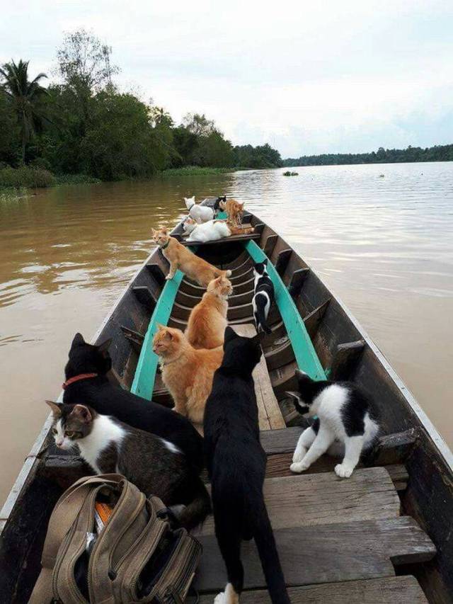 daily picdump 94 pics 21.html - 94 HD Photos | Premium Gallery 2018