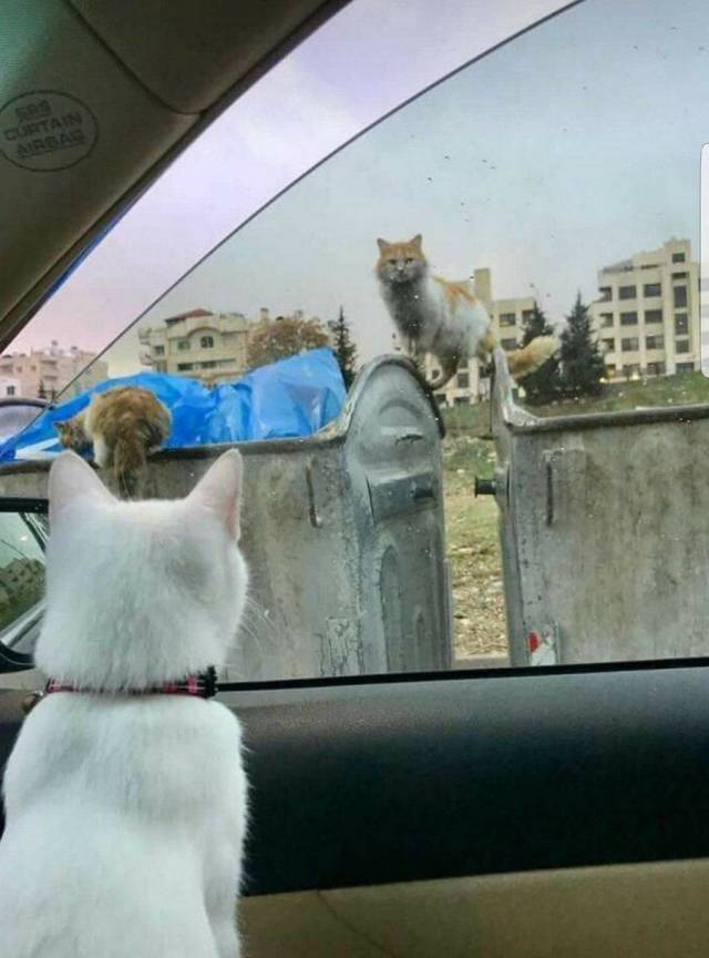 daily picdump 94 pics 21.html - 94 HD Photos | Premium Gallery 2018