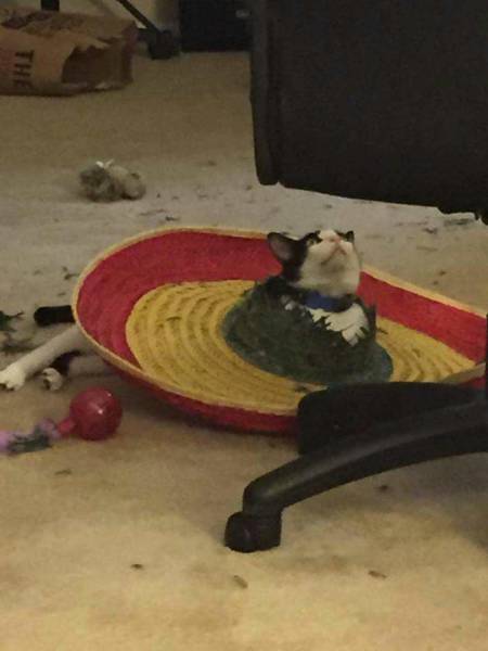 morning picdump 52 pics 52.html - 52 HD Photos | Premium Gallery 2018