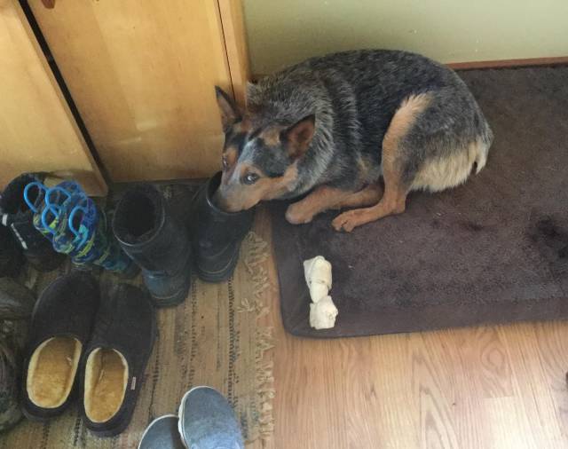 morning picdump 52 pics 52.html - 52 HD Photos | Premium Gallery 2018