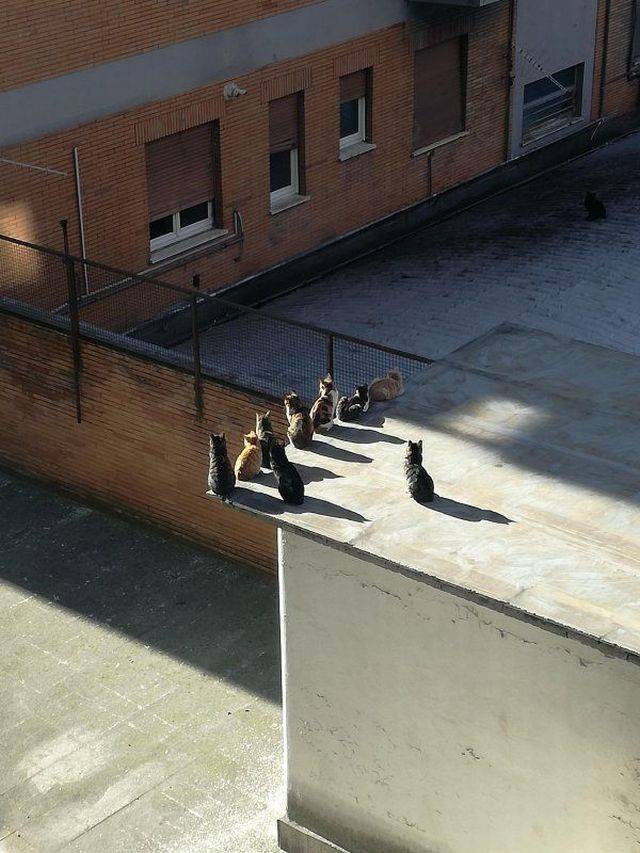 Daily Picdump