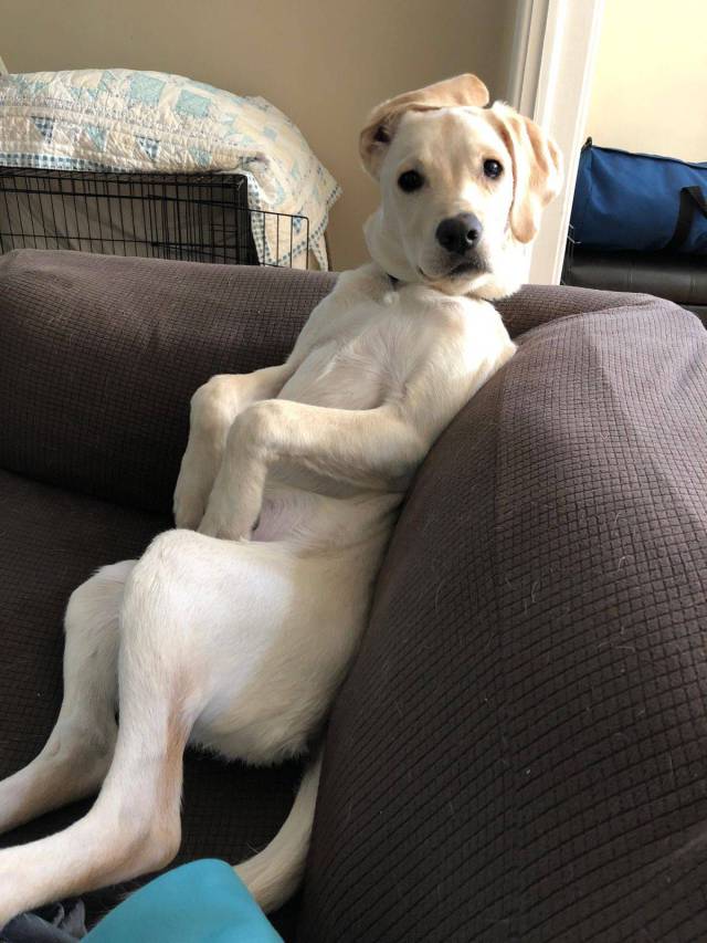 daily picdump 101 pics 44.html - 101 HD Photos | Premium Gallery 2018