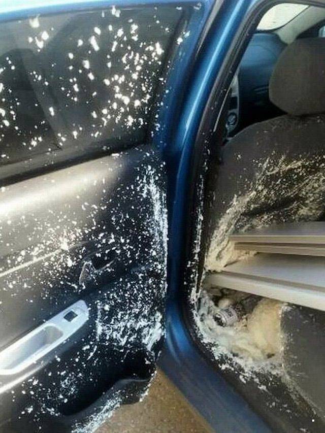 daily picdump 101 pics 44.html - 101 HD Photos | Premium Gallery 2018