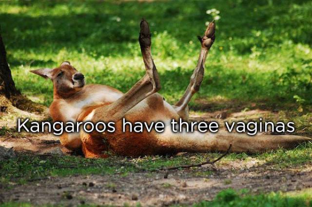 NSFW Facts You Should Probably Read Alone