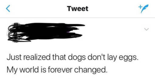 Cringe. Nothing More.