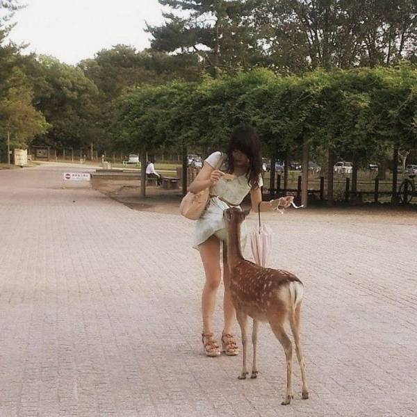 Daily Picdump