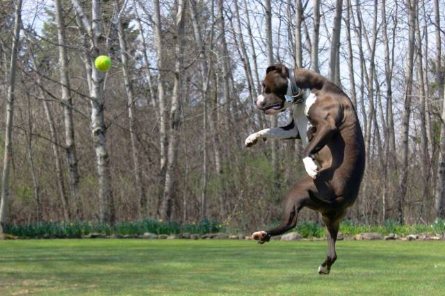 Daily Picdump