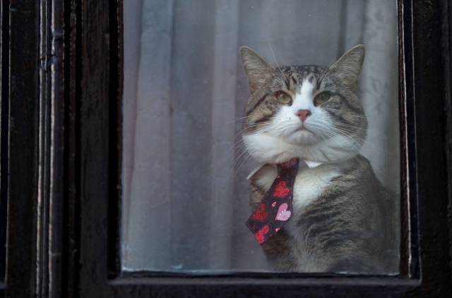 Daily Picdump