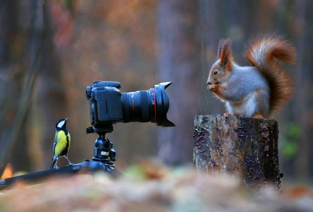 Daily Picdump