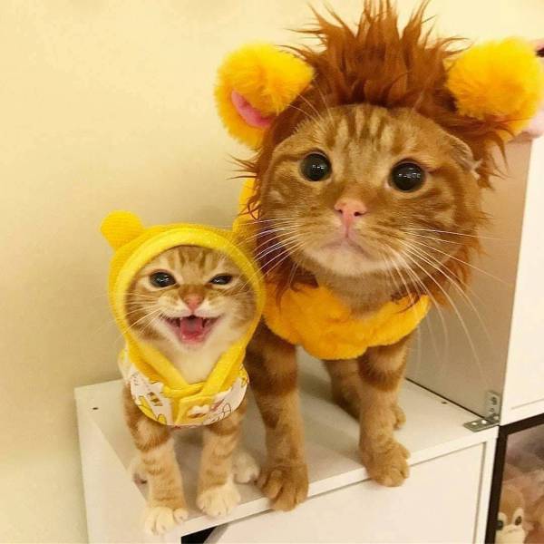 Daily Picdump