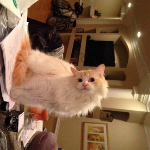 Daily Picdump