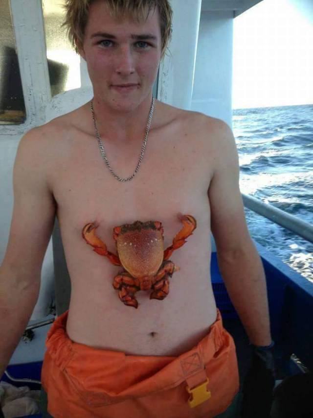 Daily Picdump