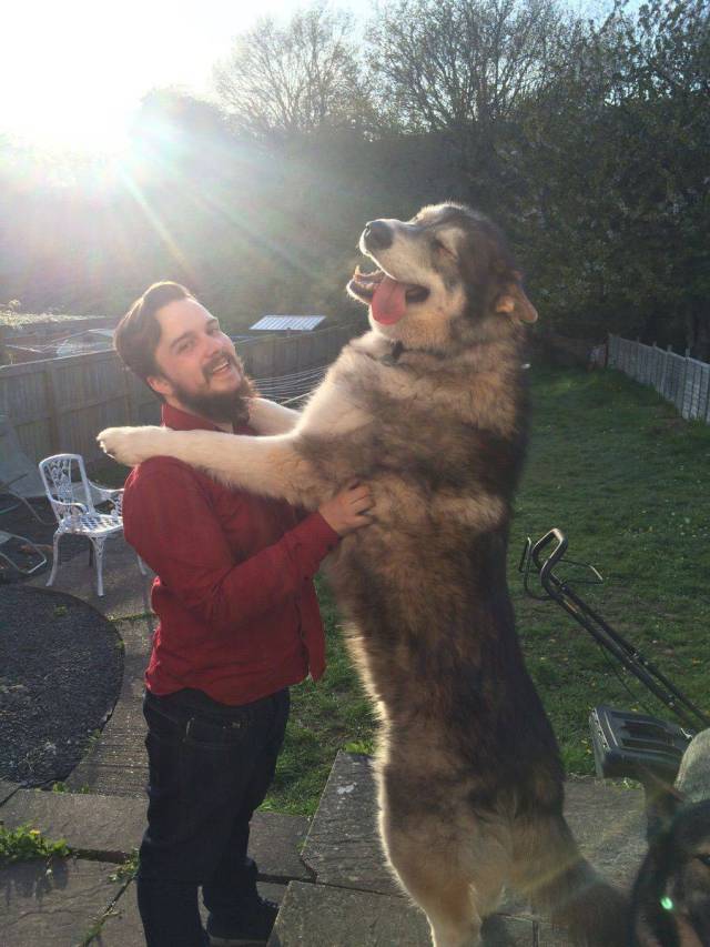 Daily Picdump