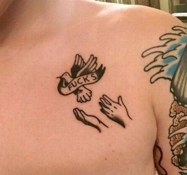 Daily Picdump