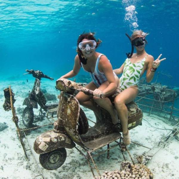 Daily Picdump