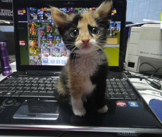 Daily Picdump