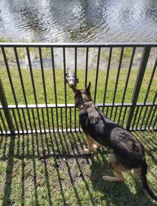 daily picdump 93 pics 33.html - 93 HD Photos | Premium Gallery 2018