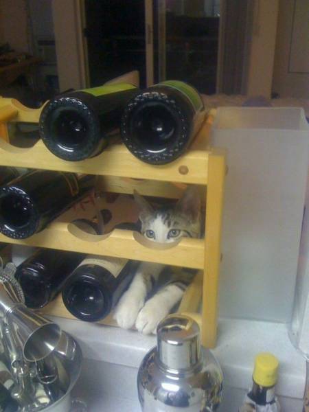 morning picdump 50 pics 8.html - 50 HD Photos | Premium Gallery 2018