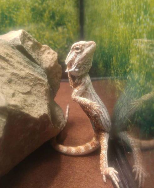 morning picdump 50 pics 8.html - 50 HD Photos | Premium Gallery 2018
