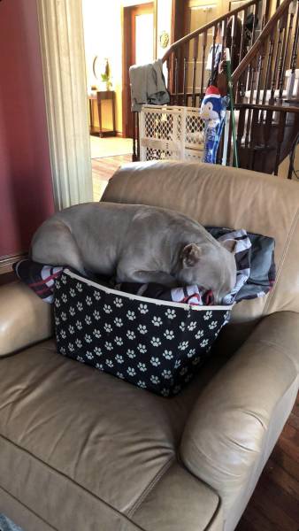 morning picdump 50 pics 8.html - 50 HD Photos | Premium Gallery 2018