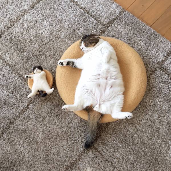 morning picdump 50 pics 8.html - 50 HD Photos | Premium Gallery 2018
