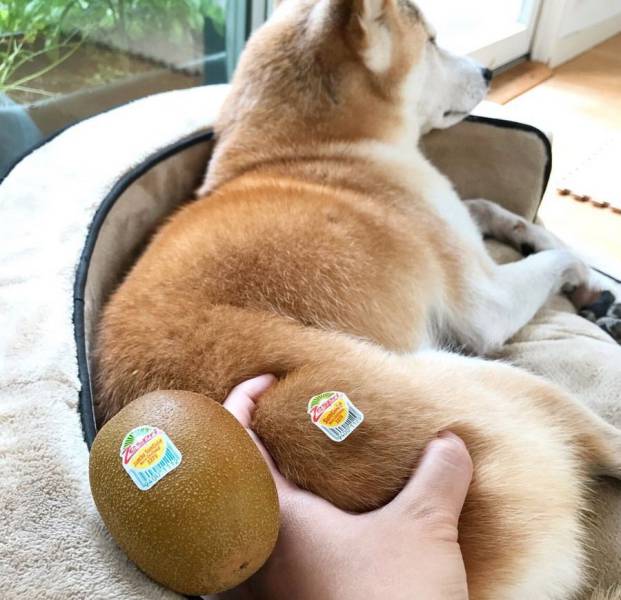 Daily Picdump