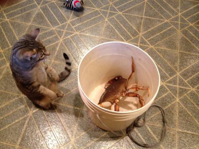 Daily Picdump