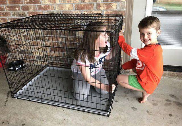 Daily Picdump