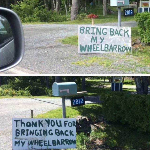 Daily Picdump