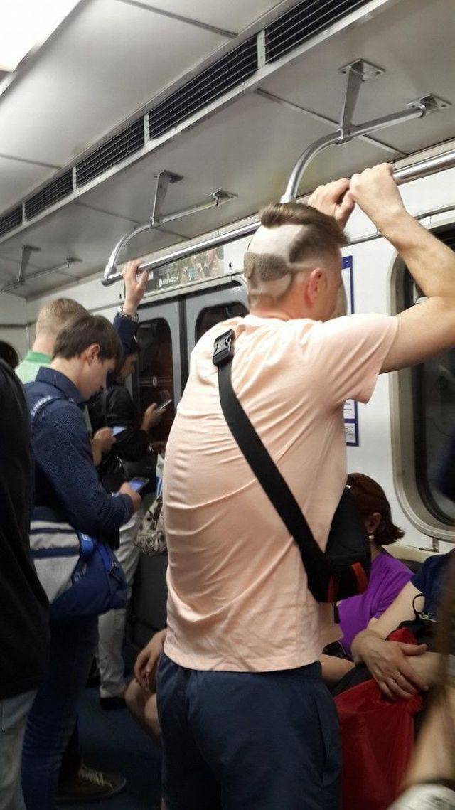 Daily Picdump