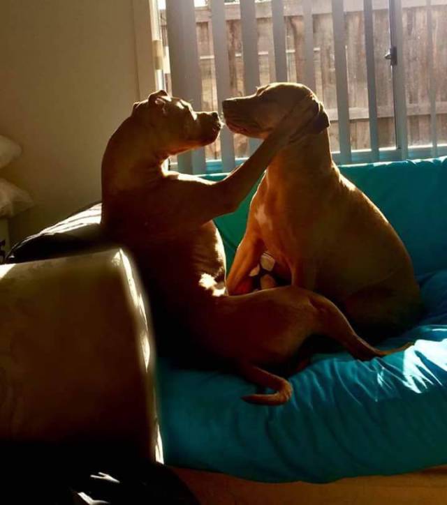 Daily Picdump