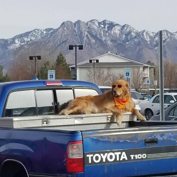Morning Picdump