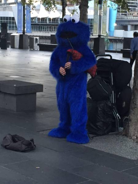 Morning Picdump