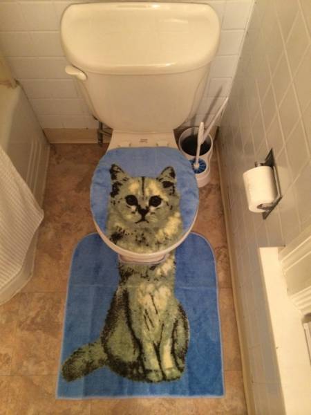 Morning Picdump