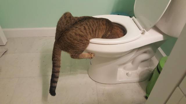 morning picdump 53 pics 1.html - 53 HD Photos | Premium Gallery 2018