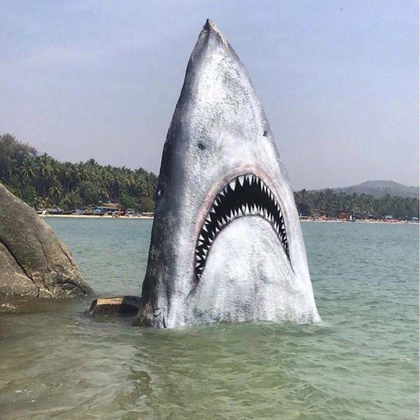 morning picdump 53 pics 1.html - 53 HD Photos | Premium Gallery 2018