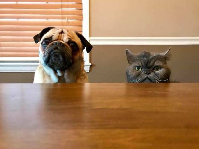daily picdump 97 pics 38.html - 97 HD Photos | Premium Gallery 2018