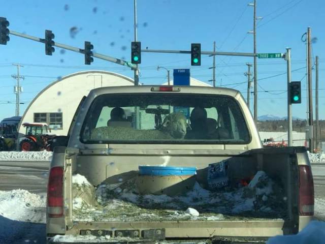 daily picdump 97 pics 38.html - 97 HD Photos | Premium Gallery 2018