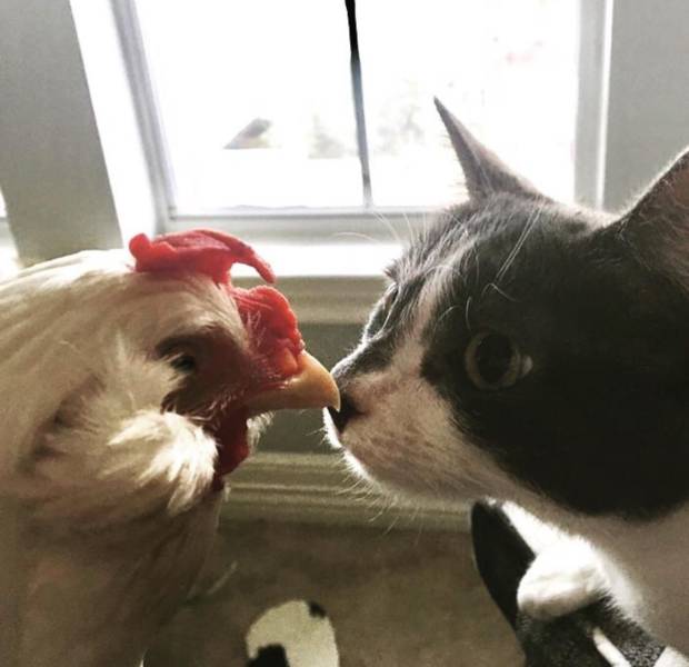 daily picdump 97 pics 38.html - 97 HD Photos | Premium Gallery 2018