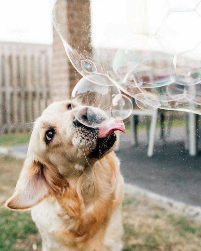 daily picdump 97 pics 38.html - 97 HD Photos | Premium Gallery 2018