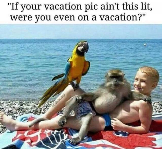 funny picdump 52 pics 22.html - 52 HD Photos | Premium Gallery 2018