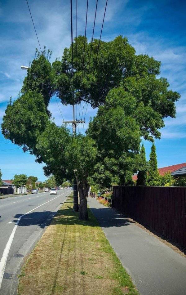 It