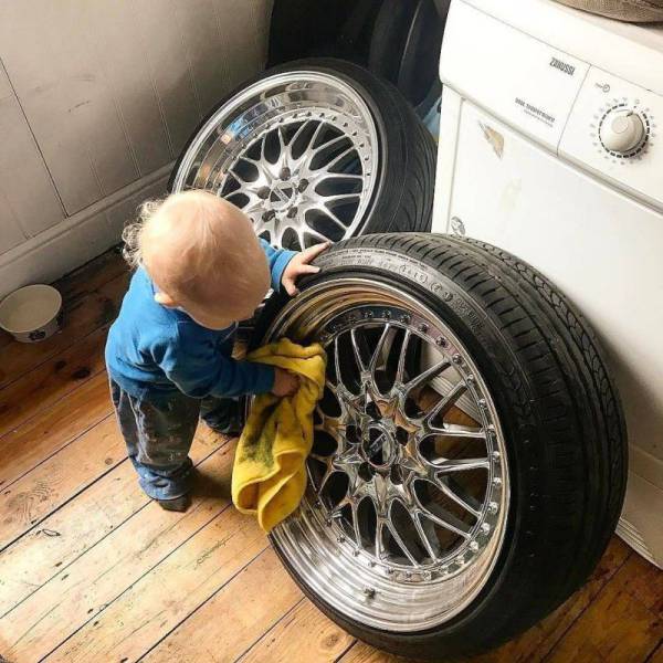 Daily Picdump