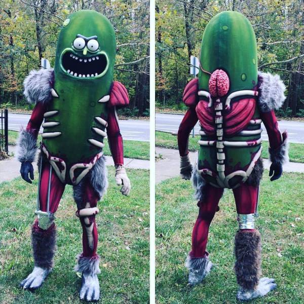 Daily Picdump