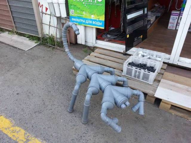 Daily Picdump