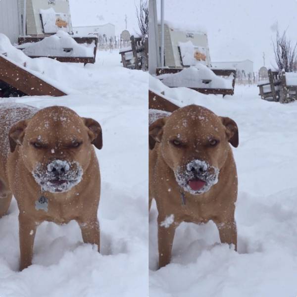 Daily Picdump