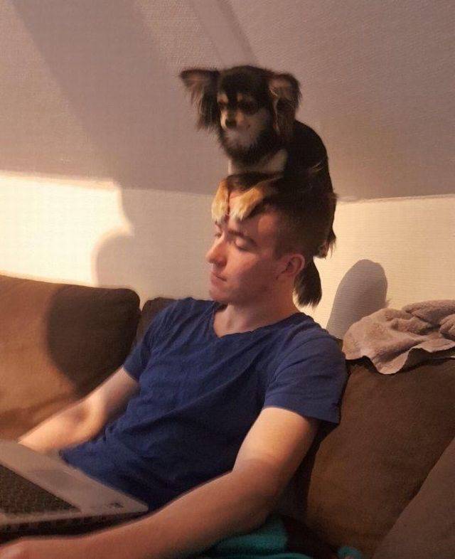 Daily Picdump